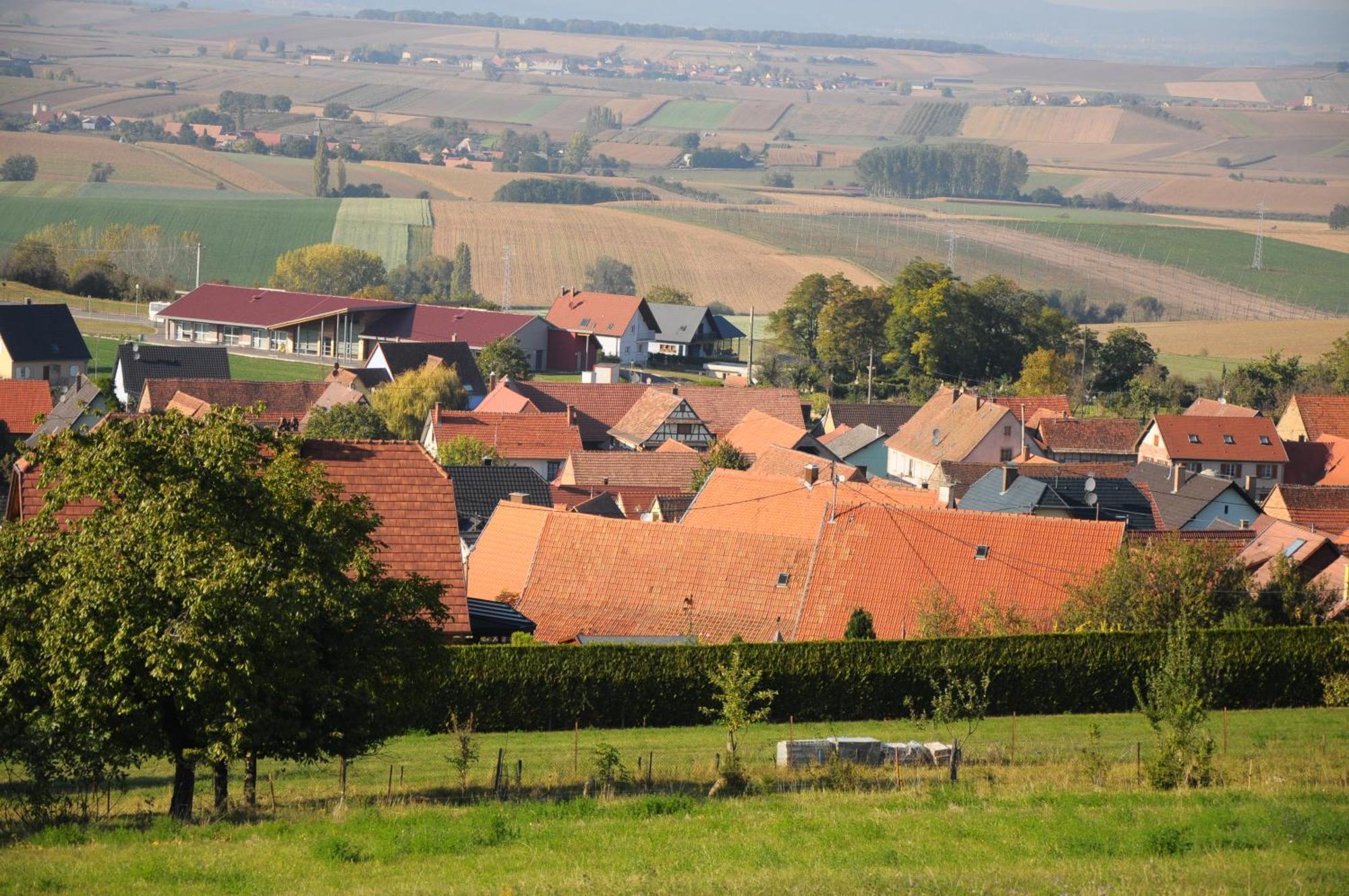La Ferme De Louise Bed and Breakfast Hohengoeft Eksteriør billede