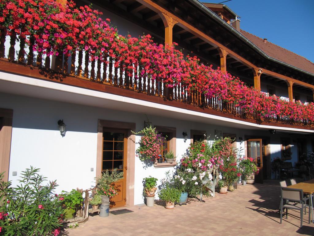 La Ferme De Louise Bed and Breakfast Hohengoeft Eksteriør billede